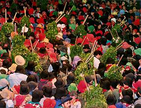 Patum of Berga