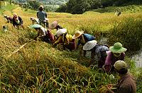 Hudhud chants of the Ifugao Read more on the element