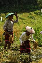 Hudhud chants of the Ifugao