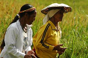 Hudhud chants of the Ifugao