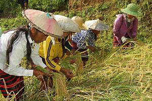 Hudhud chants of the Ifugao