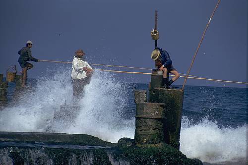 Fishermen in Beirut, Lebanon
