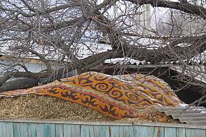 Ala-kiyiz and Shyrdak, art of Kyrgyz traditional felt carpets
