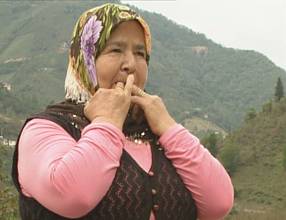 Whistled language