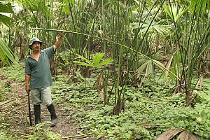 Le tissage traditionnel du chapeau de paille toquilla équatorien