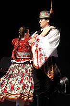 Folk art of the Matyó, embroidery of a traditional community