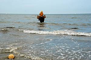 Shrimp fishing on horseback in Oostduinkerke