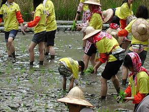 The Twenty-Four Solar Terms, knowledge in China of time and practices developed through observation of the sun’s annual motion