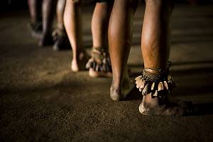 Traditional knowledge of the jaguar shamans of Yuruparí