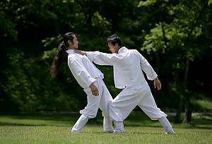 Taekkyeon, a traditional Korean martial art