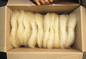 Weaving of Mosi (fine ramie) in the Hansan region