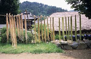 Le tissage du Mosi (ramie fine) dans la région de Hansan