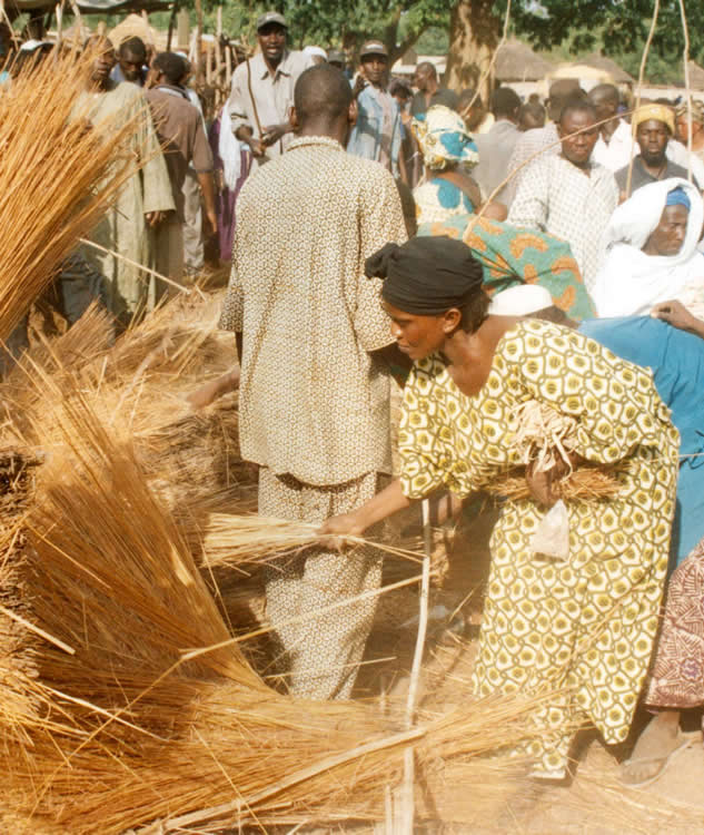 Ruée des populations sur les materiaux anciens et residus des nouveaux materiaux de refection de la Case sacree apres sa refection