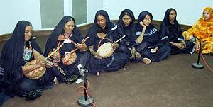 Practices and knowledge linked to the Imzad of the Tuareg communities of Algeria, Mali and Niger