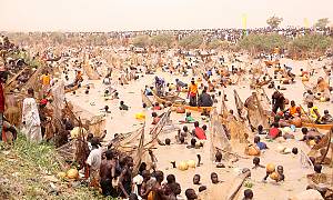 Argungu international fishing and cultural festival
