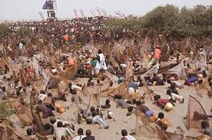 Argungu international fishing and cultural festival