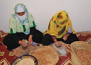 Argan, practices and know-how concerning the argan tree