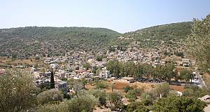 Le savoir-faire de la culture du mastiha à l’île de Chios