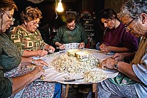 Know-how of cultivating mastic on the island of Chios
