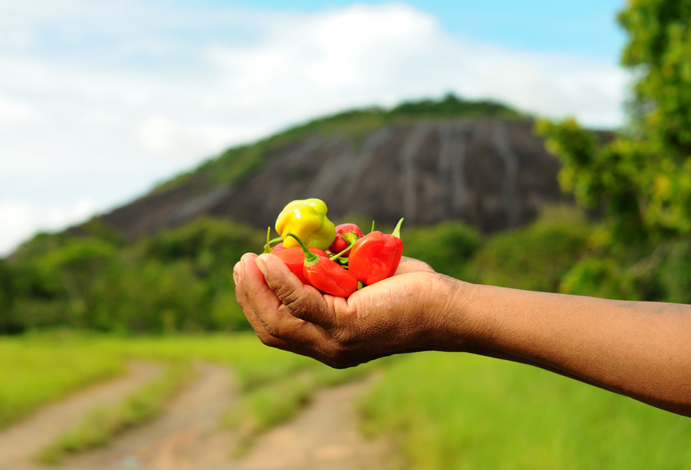 La tradition orale des Mapoyos et ses points de référence symboliques sur le territoire ancestral englobent un corpus narratif constituant la mémoire collective du peuple mapoyo.