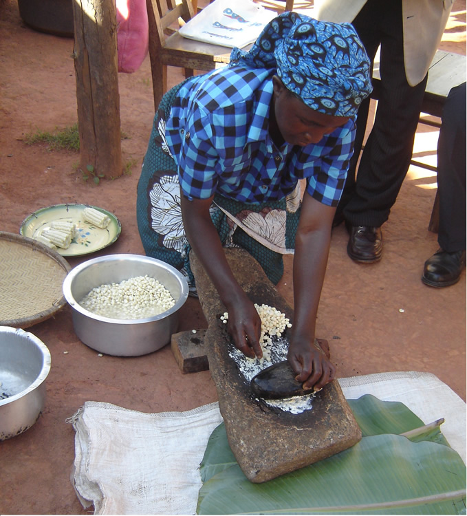 preparación del Ichipipi (la torta de maíz)