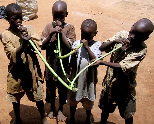 Four communities in Uganda commence inventory making of their intangible cultural heritage