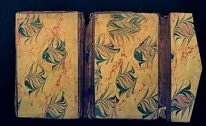 Ebru, l’art turc du papier marbré