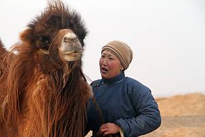 Coaxing ritual for camels