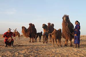 Coaxing ritual for camels