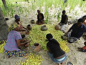 Oshituthi shomagongo, marula fruit festival