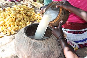 Oshituthi shomagongo, marula fruit festival