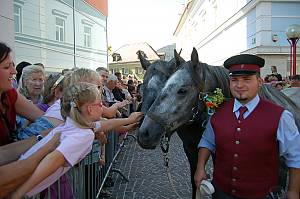 Classical horsemanship and the High School of the Spanish Riding School Vienna