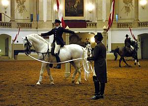 L'équitation classique et la Haute École de l'École d'équitation espagnole de Vienne