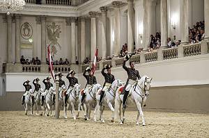 La equitación clásica y la Escuela Española de Equitación de Viena