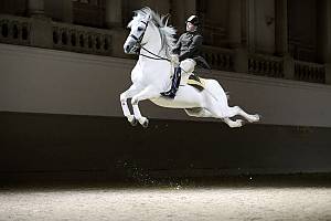 Classical horsemanship and the High School of the Spanish Riding School Vienna