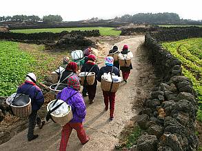 Culture of Jeju Haenyeo (women divers)