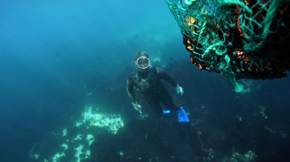 Les océans : un patrimoine vivant à sauvegarder ! 