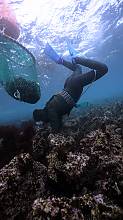 Culture of Jeju Haenyeo (women divers)