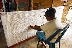Les connaissances et technologies traditionnelles liées à la culture et à la transformation de la curagua
