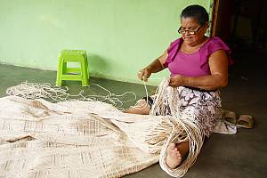 Traditional knowledge and technologies relating to the growing and processing of the curagua