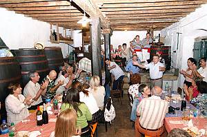 Community project of safeguarding the living culture of Rovinj/Rovigno: the Batana Ecomuseum