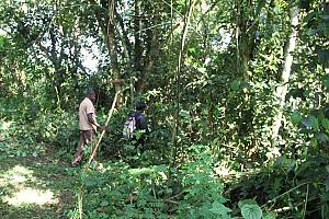 La tradition orale Koogere des Basongora, Banyabidi et Batooro