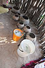 Oshituthi shomagongo, marula fruit festival