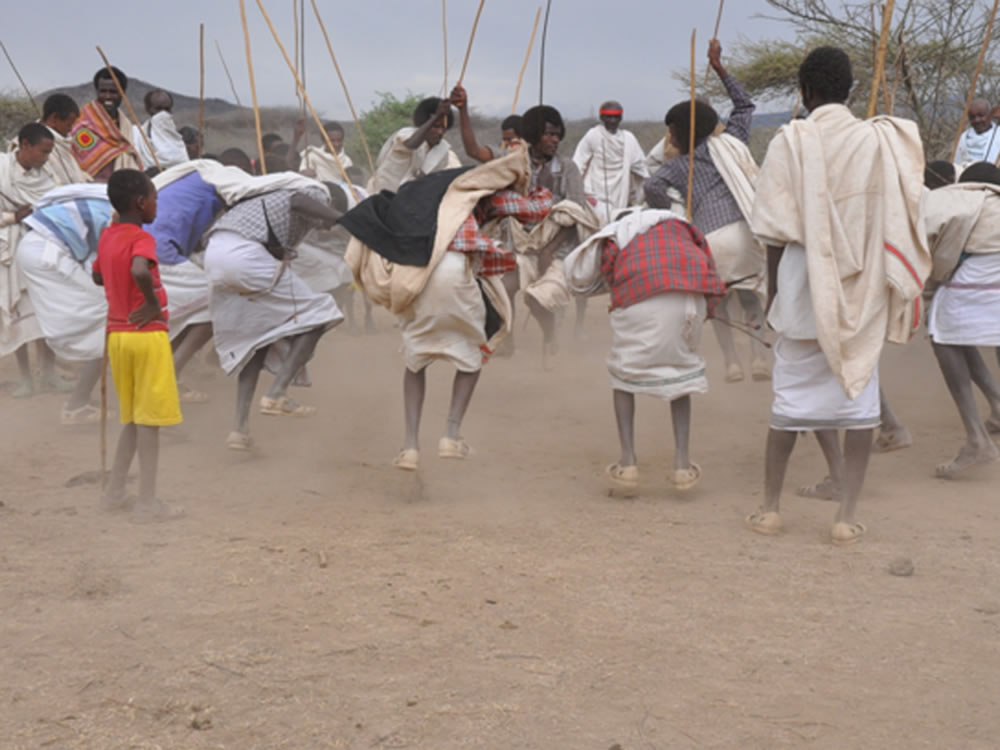 Dhichisa, a traditional dancing in which men perform fast and high jumps during the Gada Power transfer ceremony and other rituals in connection with the System. In this dancing, those who accomplish heroic deeds including the Gada officials are praised.