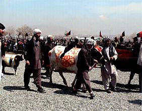 Le Nawrouz, Novruz, Nowrouz, Nowrouz, Nawrouz, Nauryz, Nooruz, Nowruz, Navruz, Nevruz, Nowruz, Navruz