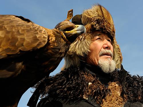 Falconry A Living Human Heritage Intangible Heritage