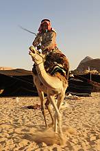 Cultural space of the Bedu in Petra and Wadi Rum