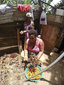 Palm oil extraction, Sao Tome and Principe 