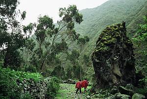 Andean cosmovision of the Kallawaya