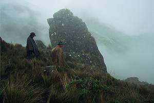 Andean cosmovision of the Kallawaya
